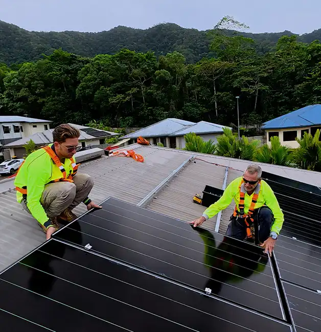 Replenishable Energy installers wearing safety harnesses fitting solar panels on a roof with rainforest hills behind